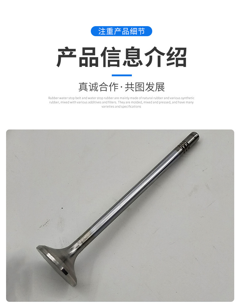 Volvo挖掘機(jī)配件 排氣門20833936